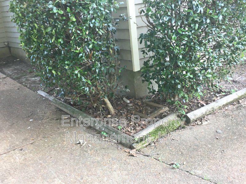 Bright property image